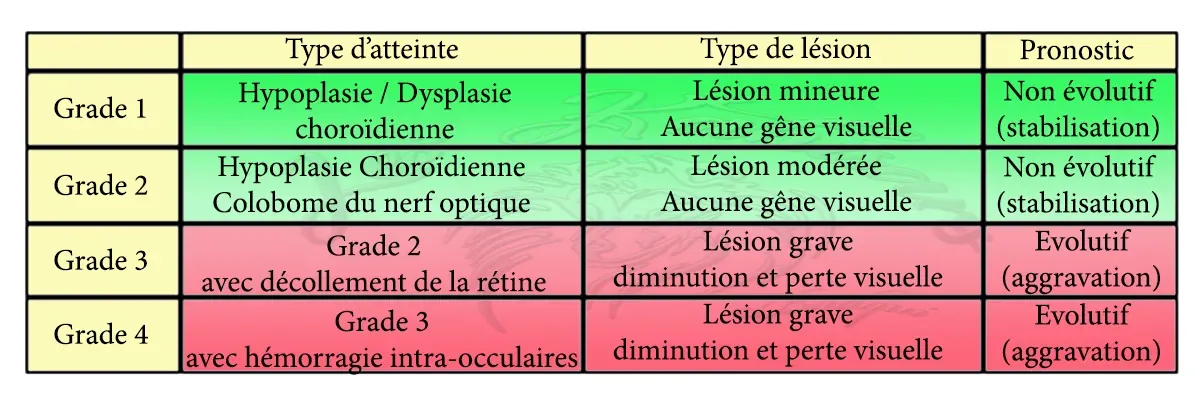 Les différents grades de l'AOC en fonction de leur gravité