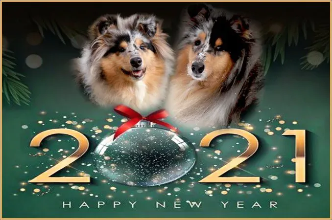 Bonne année 2021