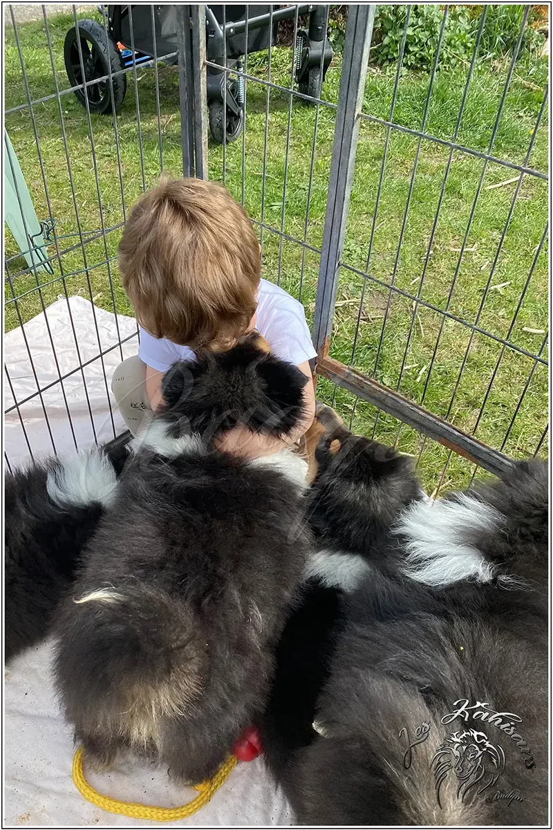 Séance de sociabilisation pour les bébés