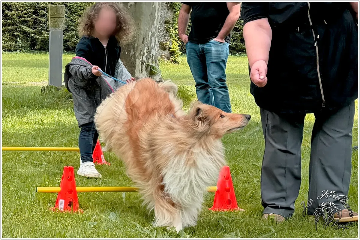 Hermione participe à l'après-midi prevention morsure
