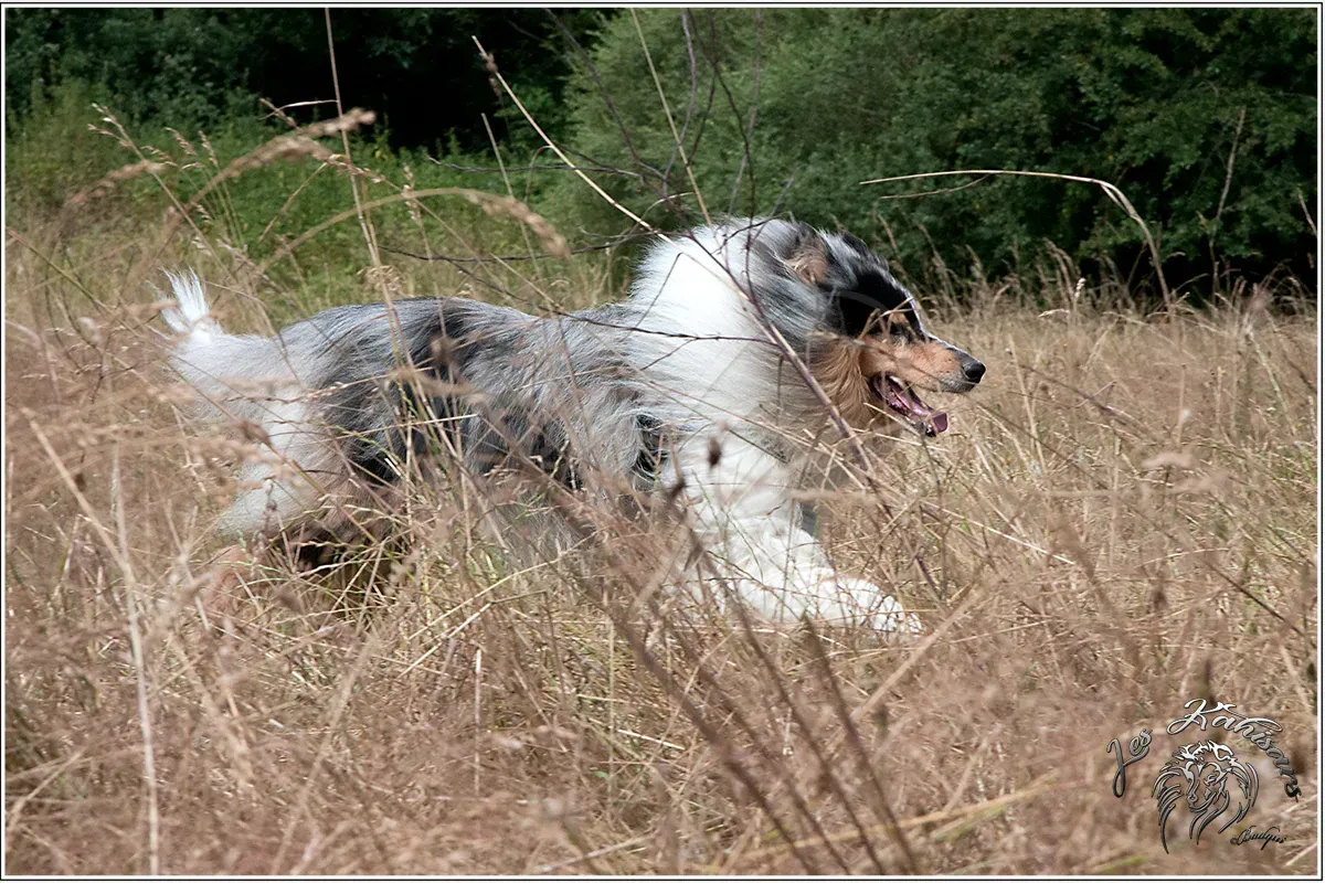 Isar River Blue du Val de la Lawe en pleine course