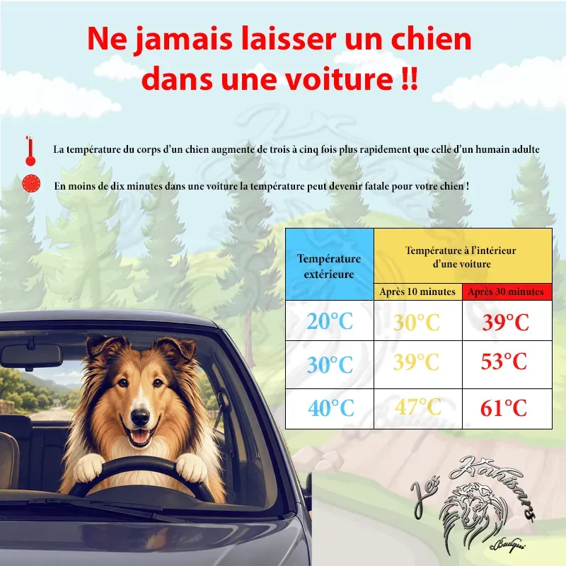 Les températures extérieures vs les températures dans une voiture
