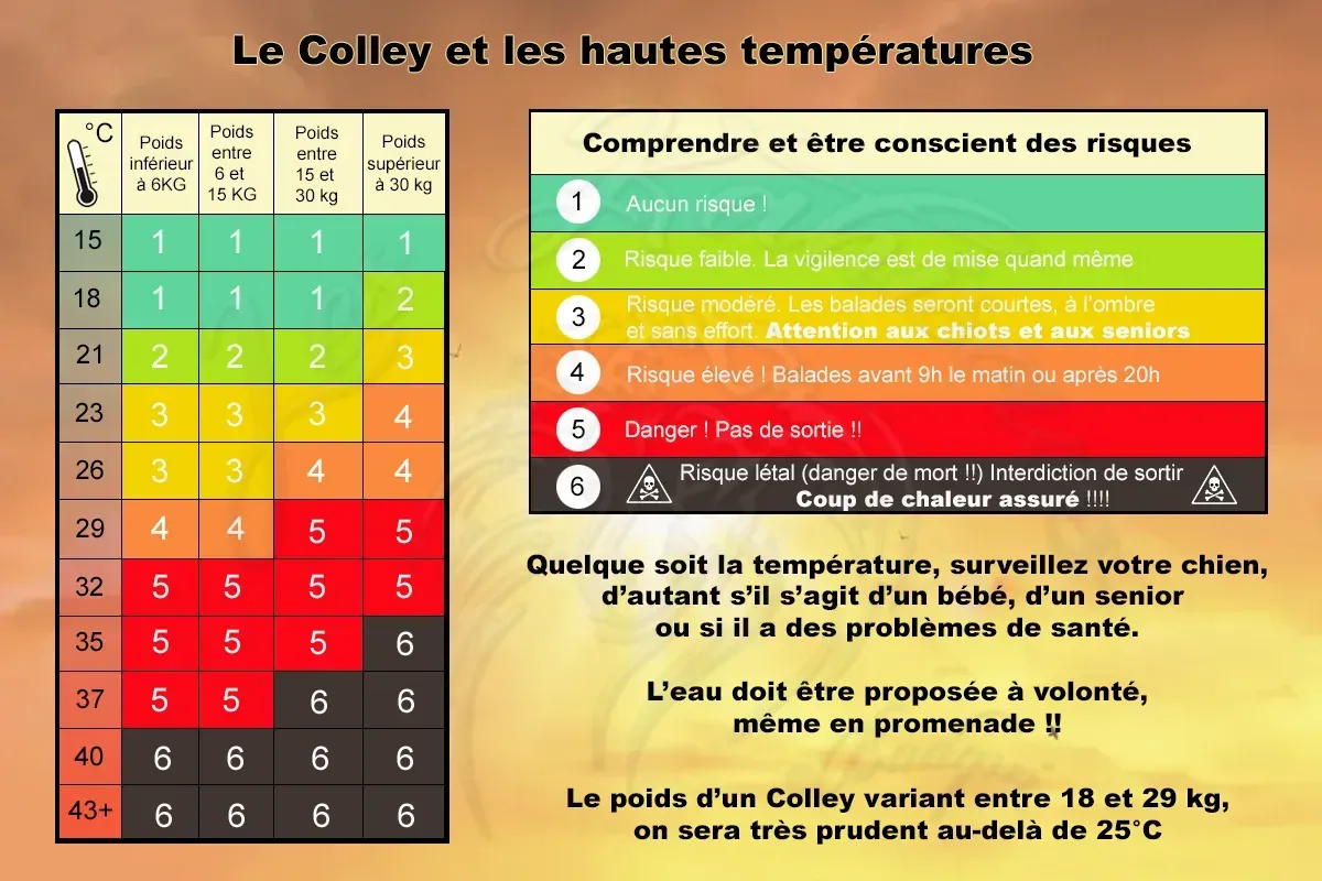 Les risques des températures élevées