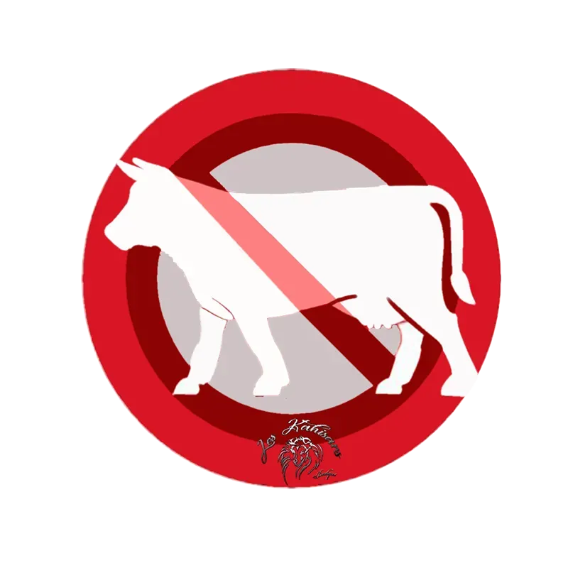Les allergies alimentaires chez le chien