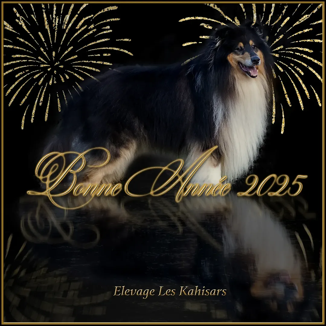 L'élevage Les Kahisars vous souhaite une bonne année 2025