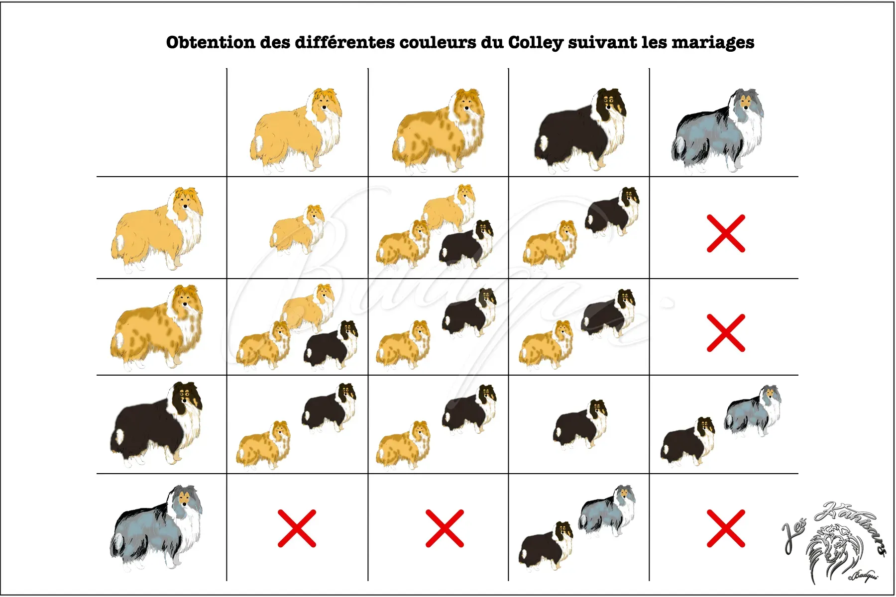 Descriptif visuel des couleurs obtenues suivant le mariage réalisé