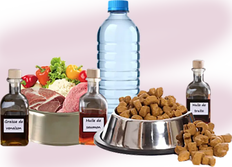 Les différents types d'alimentation du Colley