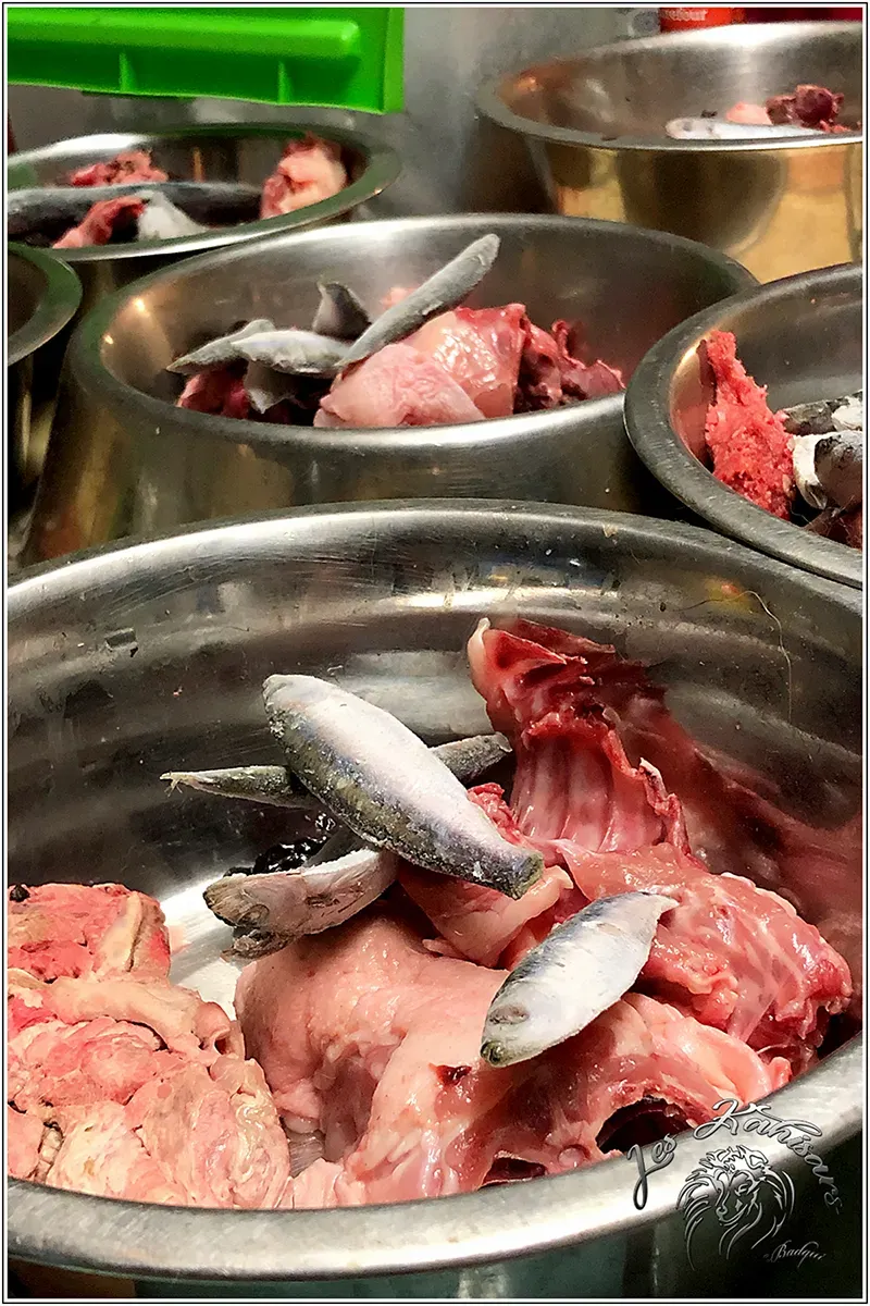 Une gamelle au cru composée de viande et de poisson