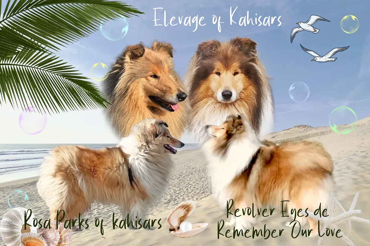 Annonce naissance bébés de Rosa Parks of Kahisars