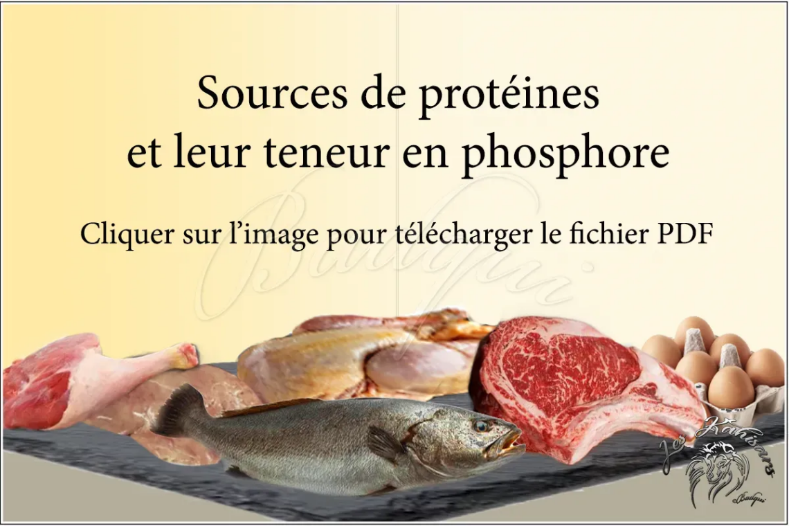 Infographie sur les différentes sources de protéïnes et leur teneur en phosphore