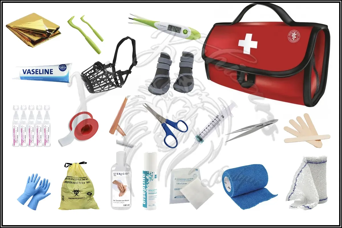 Trousse médicale d'urgence recommandée
