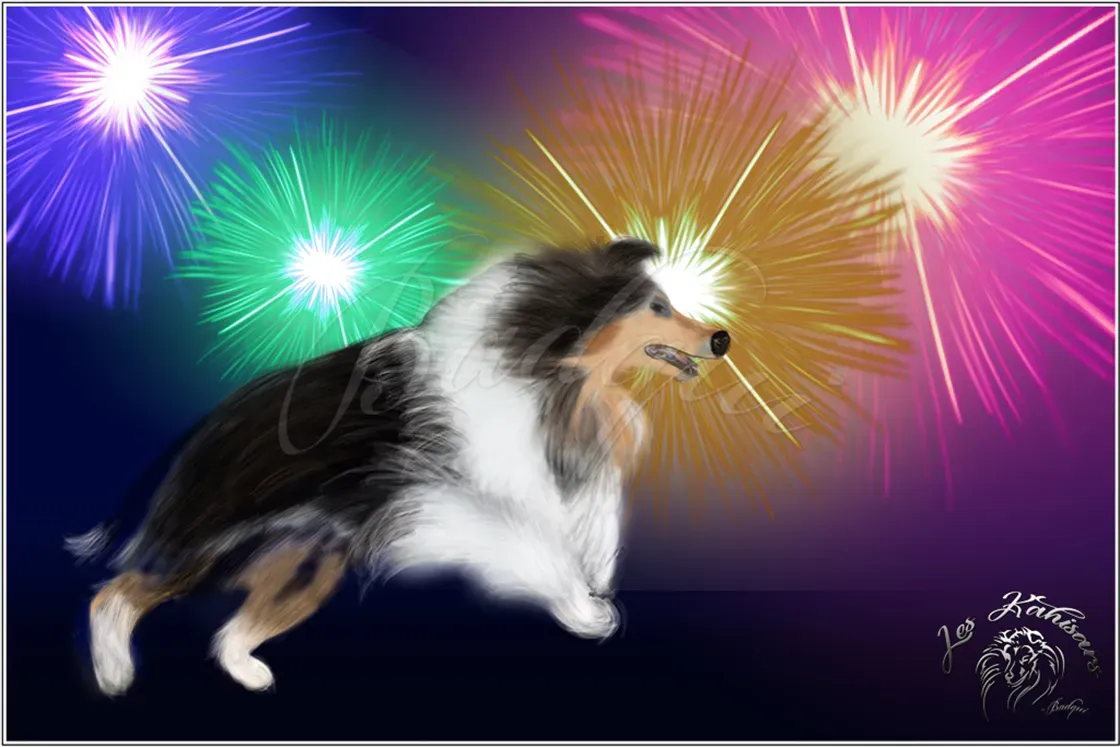 Les dangers que peuvent représenter un feu d'artifice pour un chien