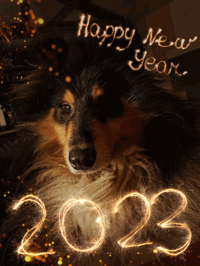 Bonne année 2023